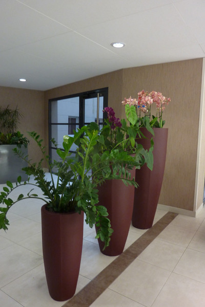 Entretien régulier de plantes vertes et fleuries dans un hall d'accueil. - Travaux réalisés